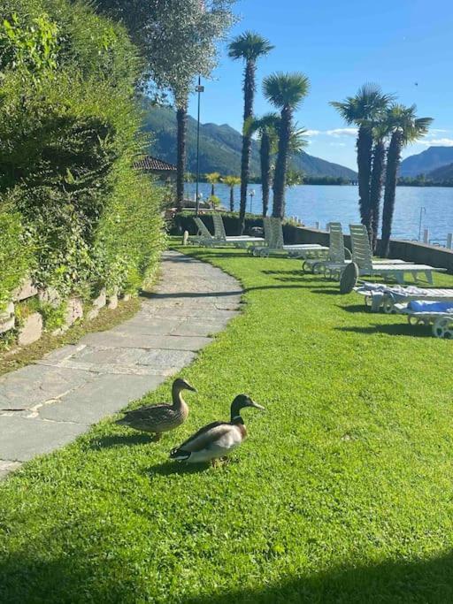 Holiday On The Lake Lugano 2-16 Біссоне Екстер'єр фото